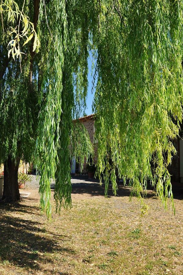 Апарт отель Agriturismo Terenzana Рипарбелла Экстерьер фото